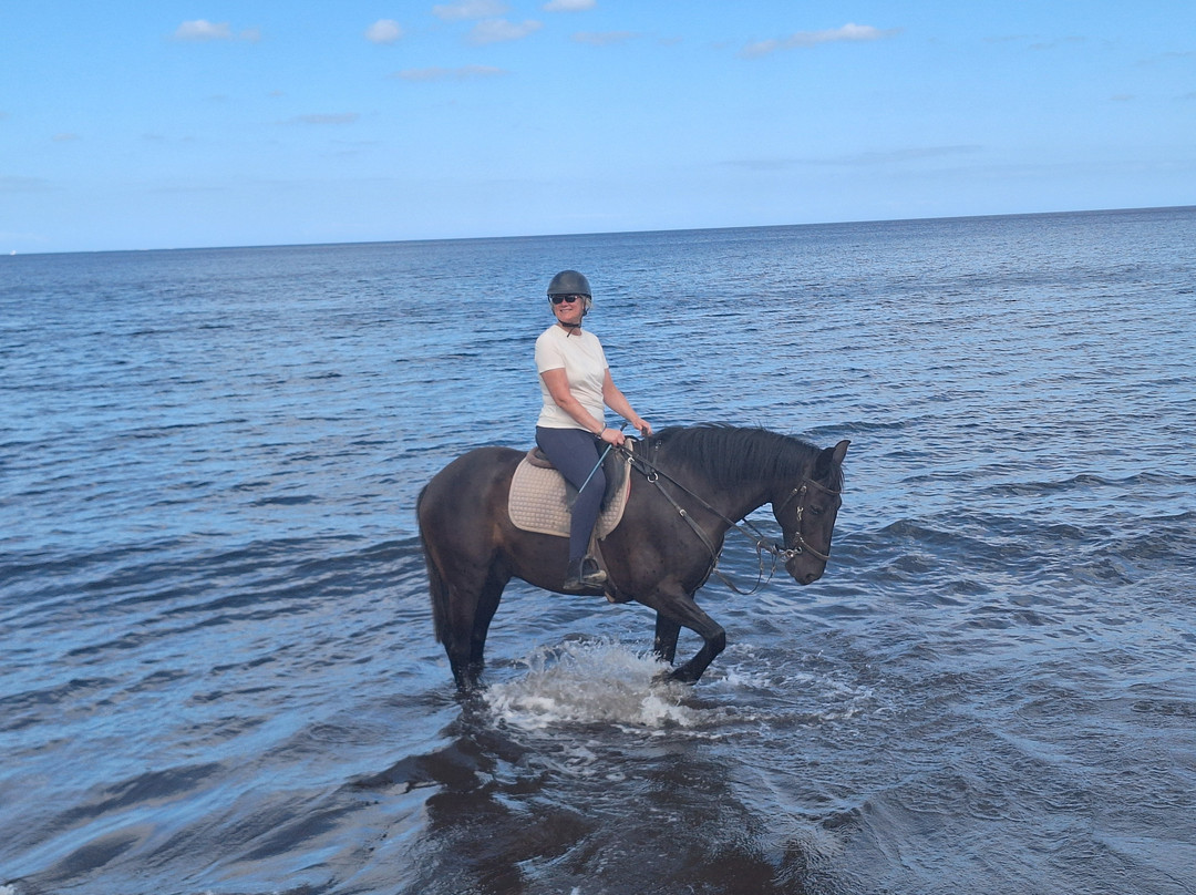 Lanzarote a Caballo-兰萨罗特必去景点
