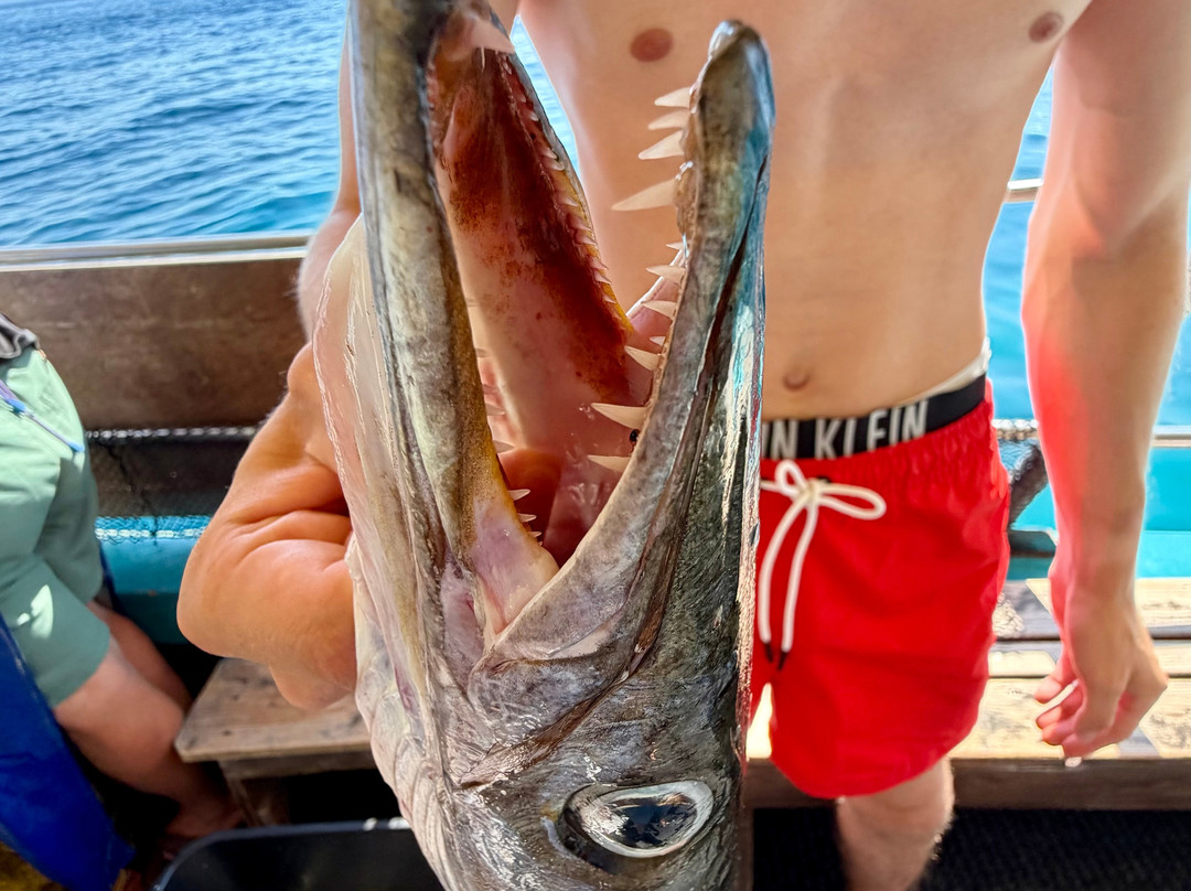 Kefalonia Fishing Tours-Zola必去景点