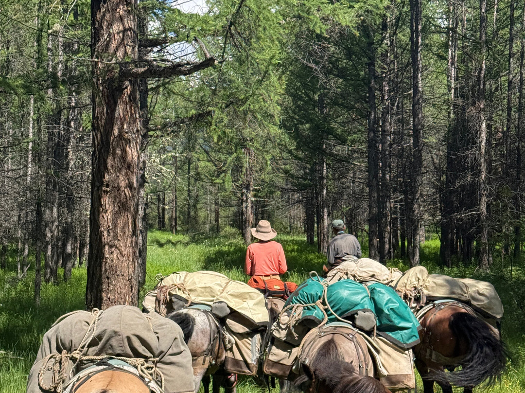 Stone Horse Expeditions & Travel - Day Tours-乌兰巴托必去景点