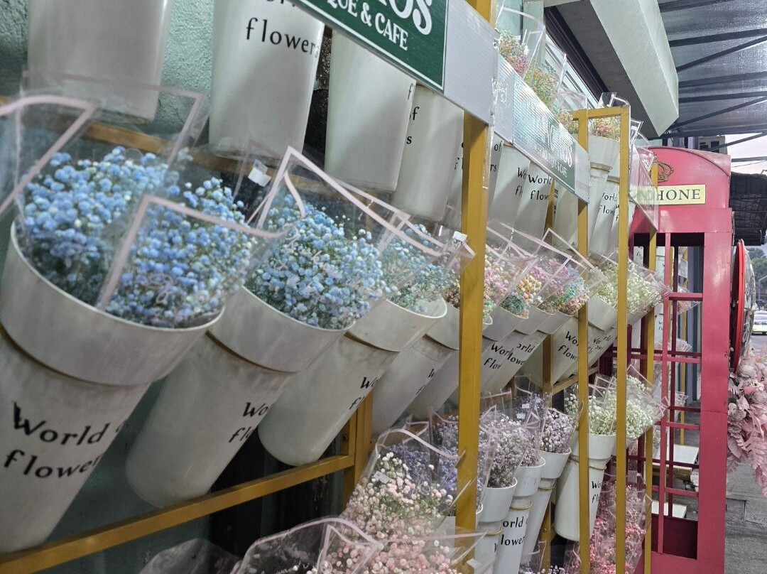 Petaling Street Market-吉隆坡必去景点
