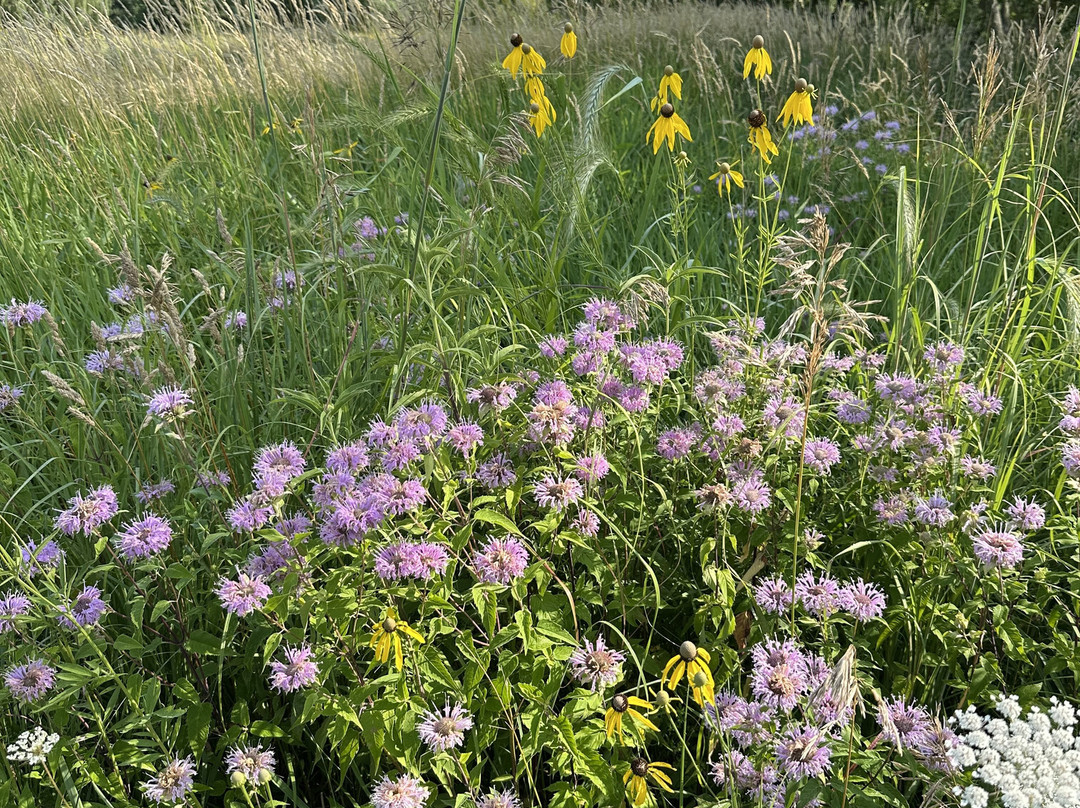 Dickinson County Nature Center-奥科博吉必去景点