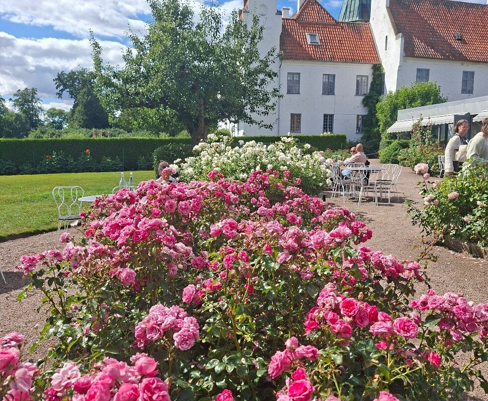 Bosjökloster Slott & Trädgårdar-Hoor必去景点