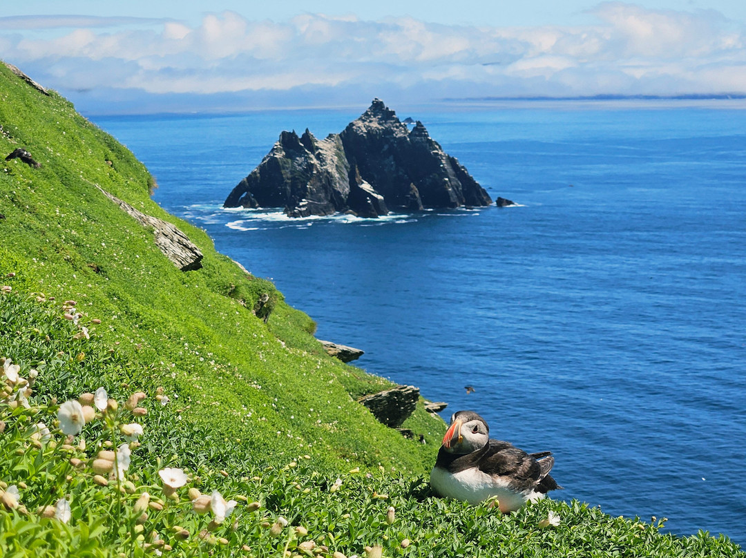 Skellig Coast Adventures-Portmagee必去景点