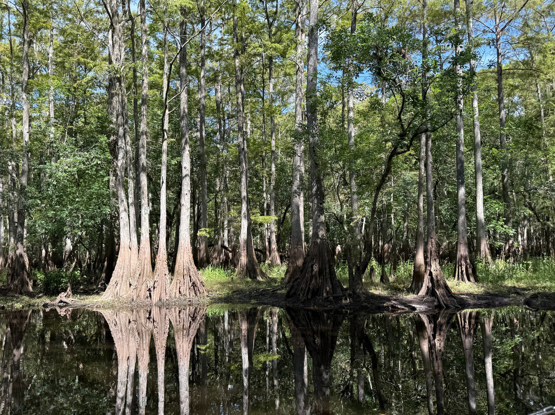 AirBoat Rides at Midway-Christmas必去景点