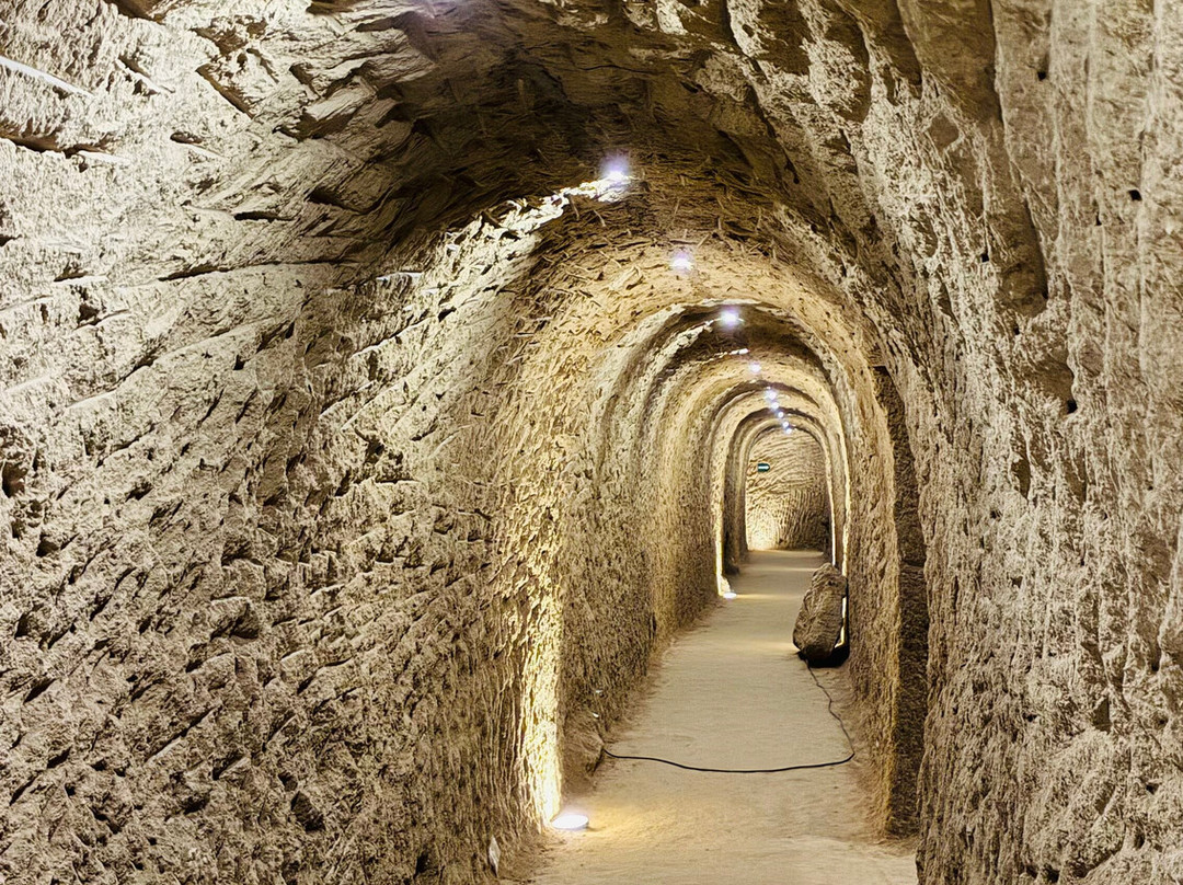 La Cave Aux Coquillages-Fleury-la-Riviere必去景点