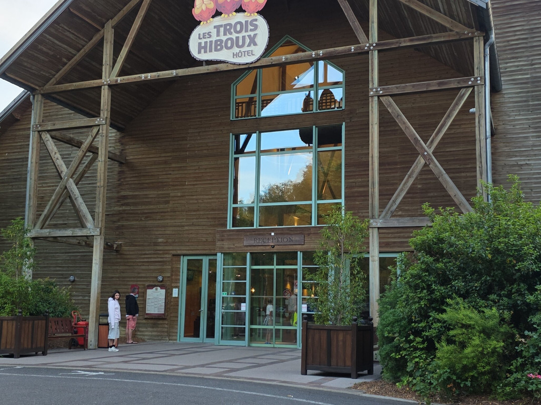 三只猫头鹰酒店主图