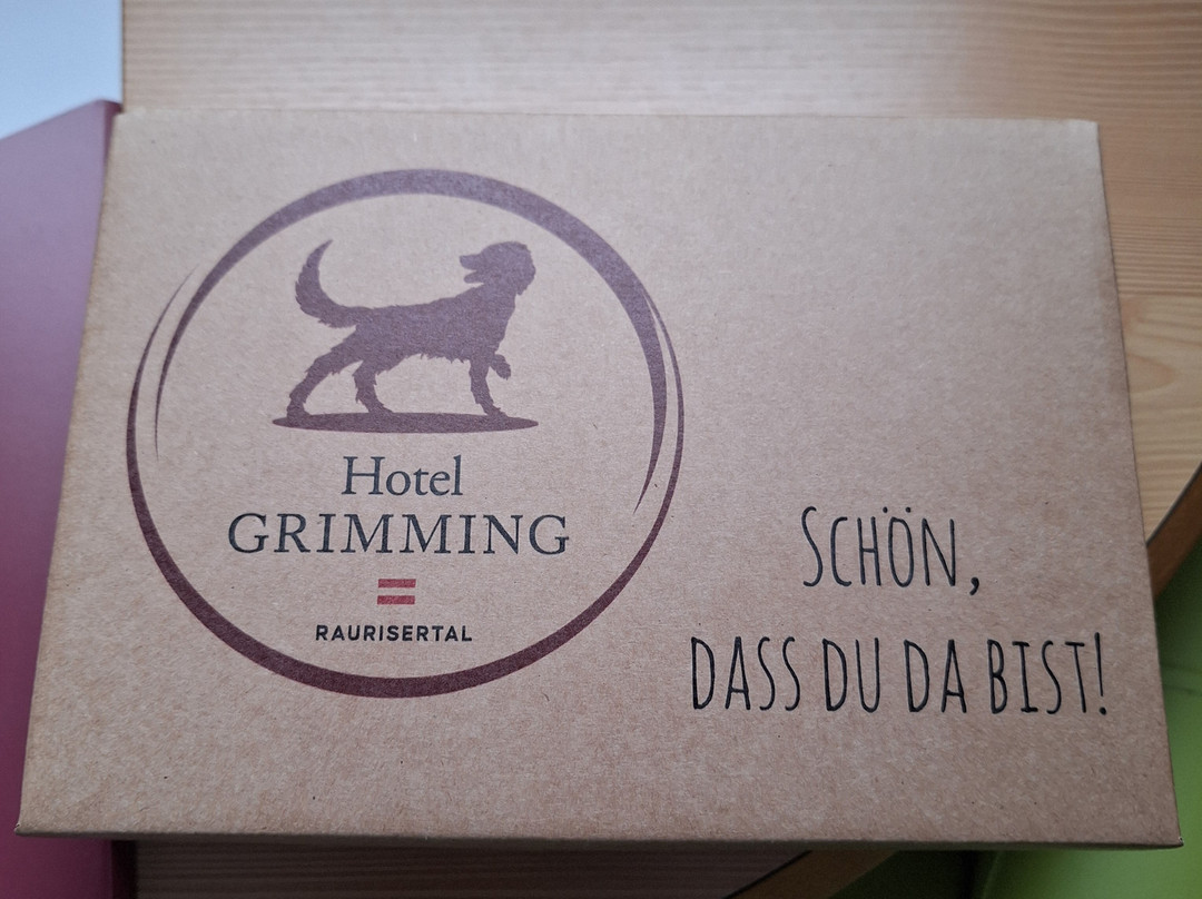 Hotel Grimming Dogs and Friends主图