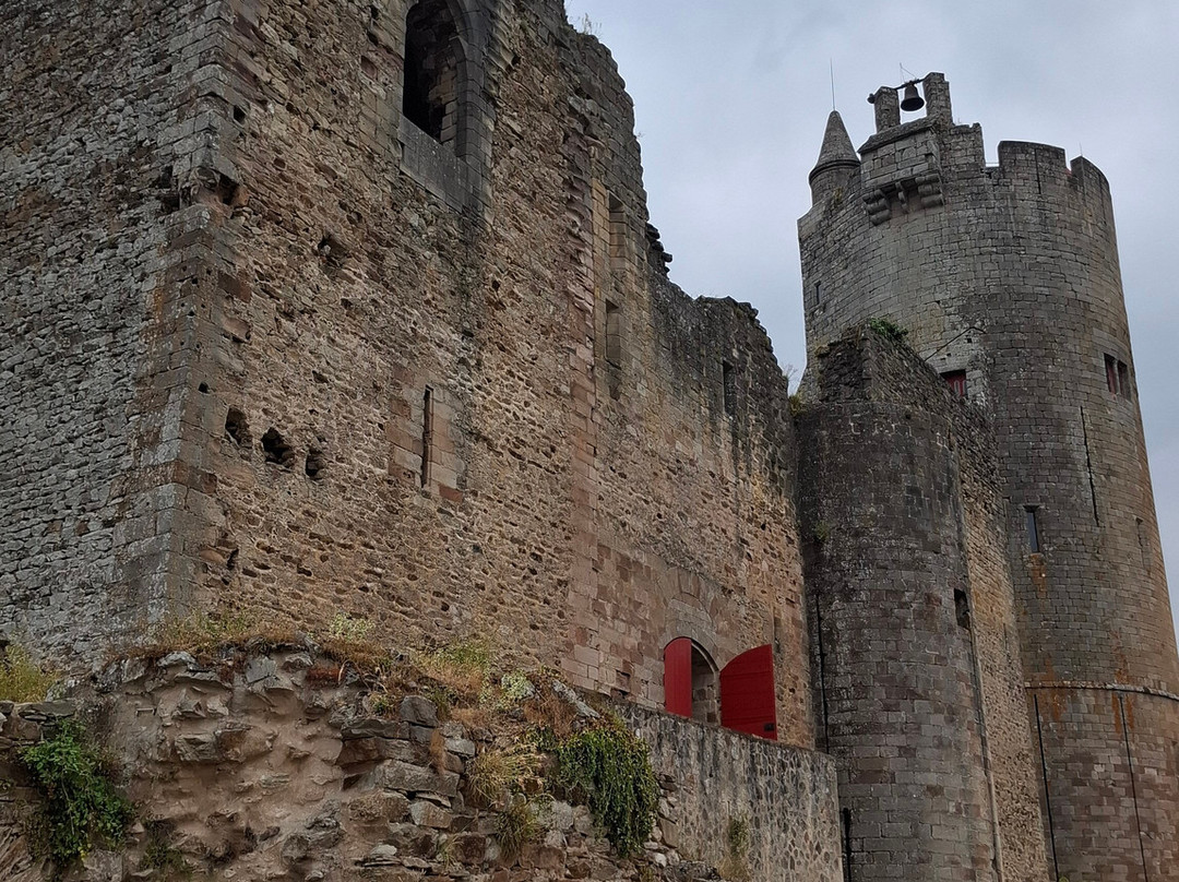 Forteresse Royale De Najac-Najac必去景点