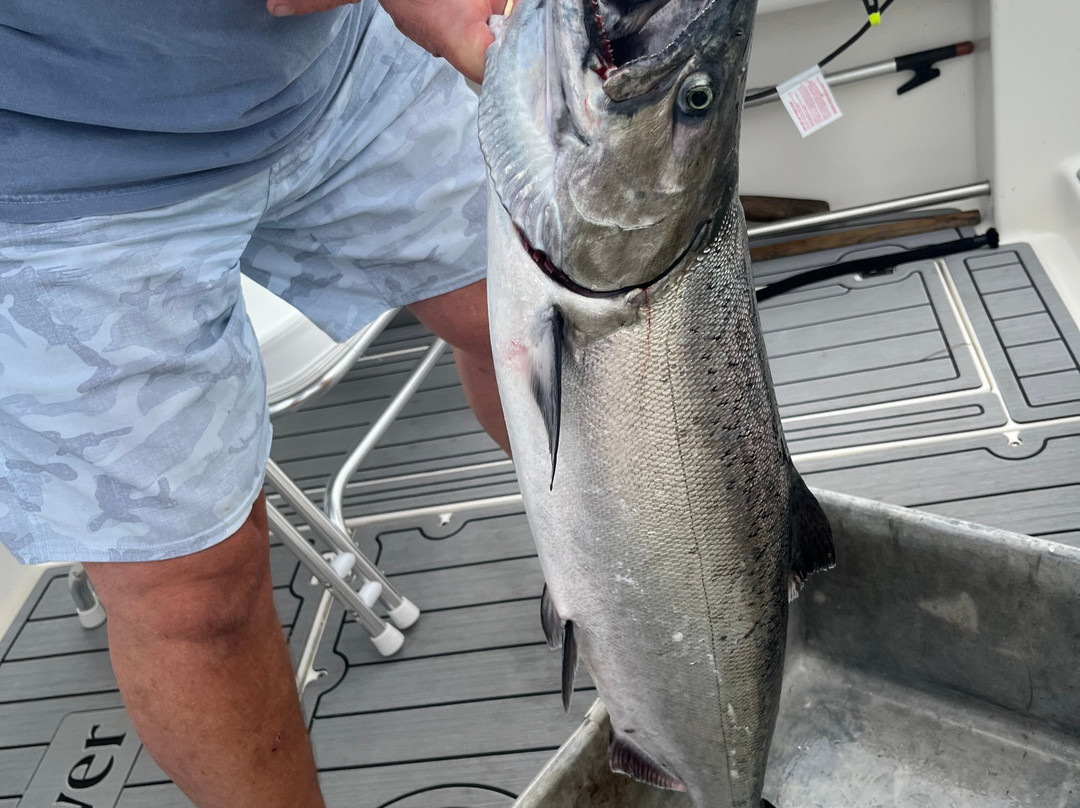 Undercover Sport Fishing Charters-鲍威尔里弗必去景点