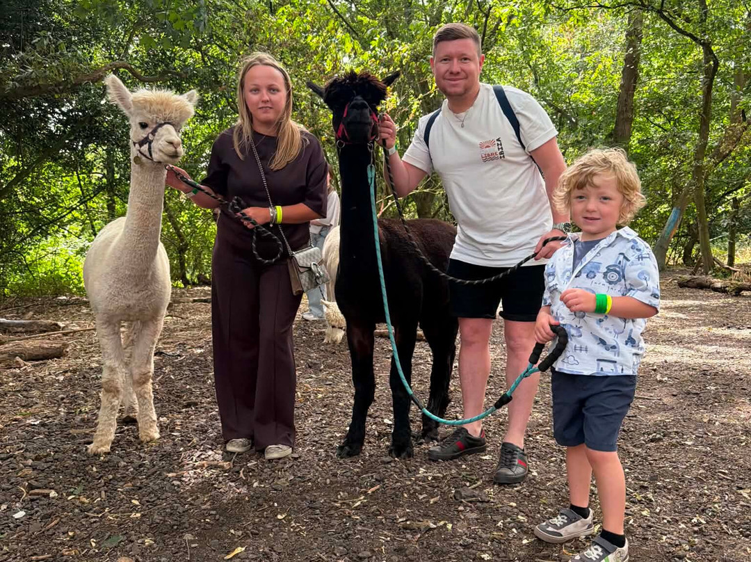 Charnwood Forest Alpacas-Boundary必去景点