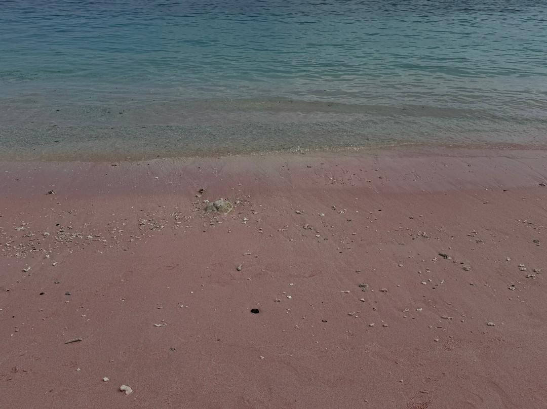 Pink Beach-科莫多必去景点