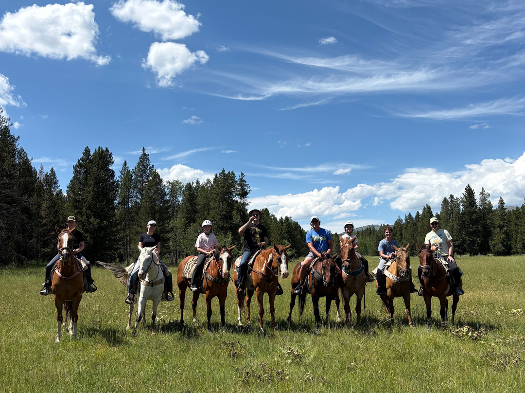 Yellowstone Horses - Eagle Ridge Ranch-艾兰帕克必去景点
