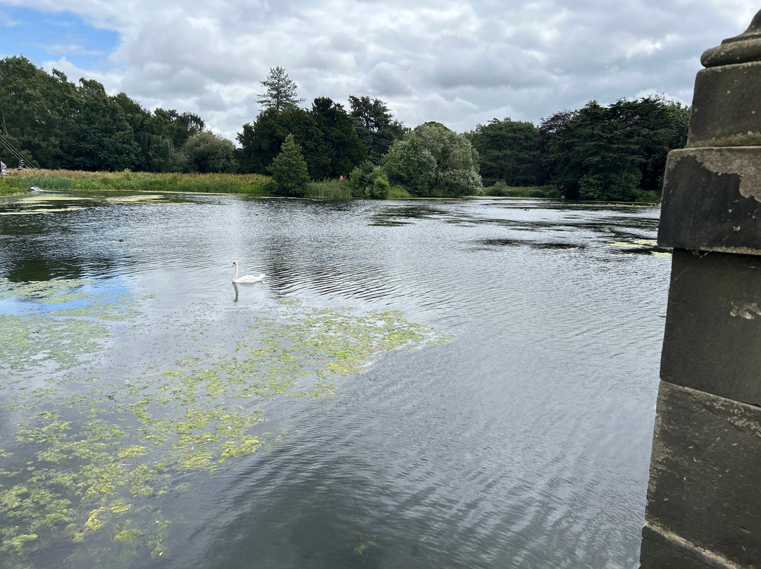 Trentham Gardens-Trentham必去景点
