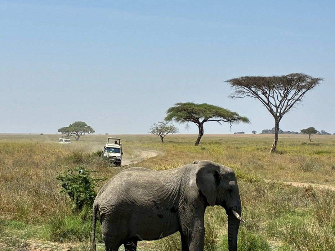 Sereland Africa Safaris-Sakina必去景点