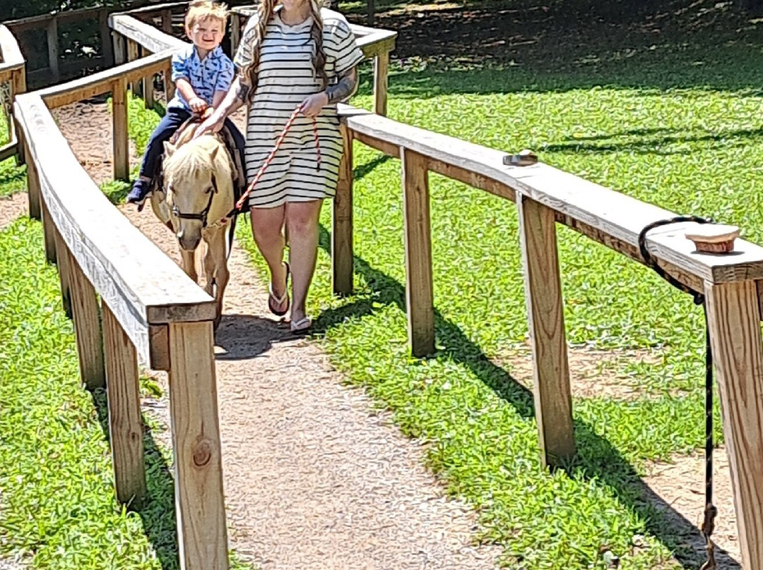 Smoky Mountain Deer Farm & Exotic Petting Zoo-塞维尔维尔必去景点