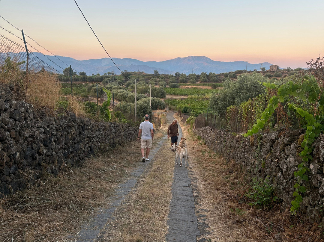 Verderame Boutique Winery-Castiglione di Sicilia必去景点