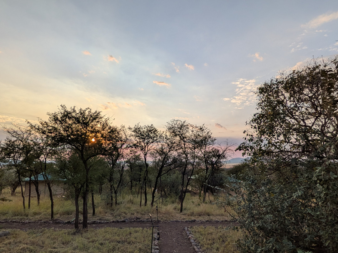 Mbuni Tented Camps-Seronera必去景点