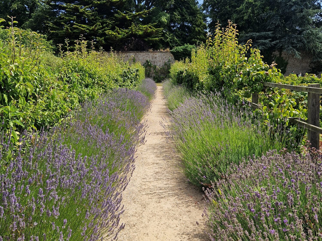 Marlay Park-都柏林必去景点