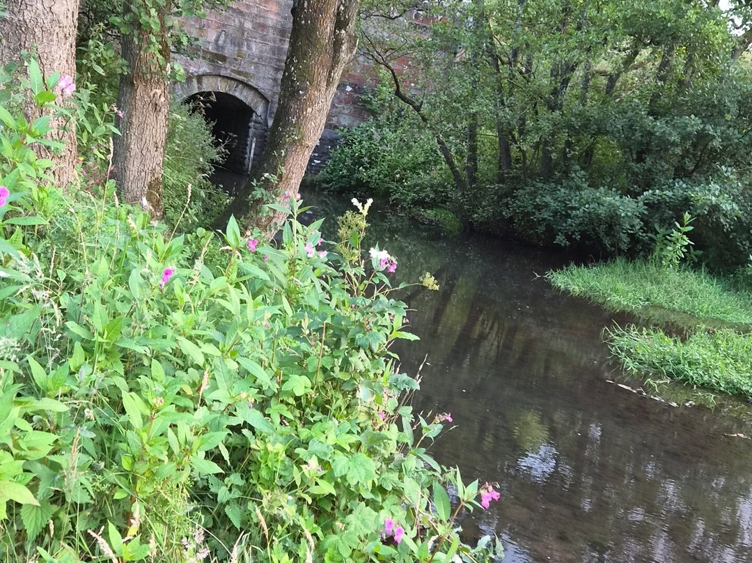 New Mills Trout Fishing Park-Brampton必去景点