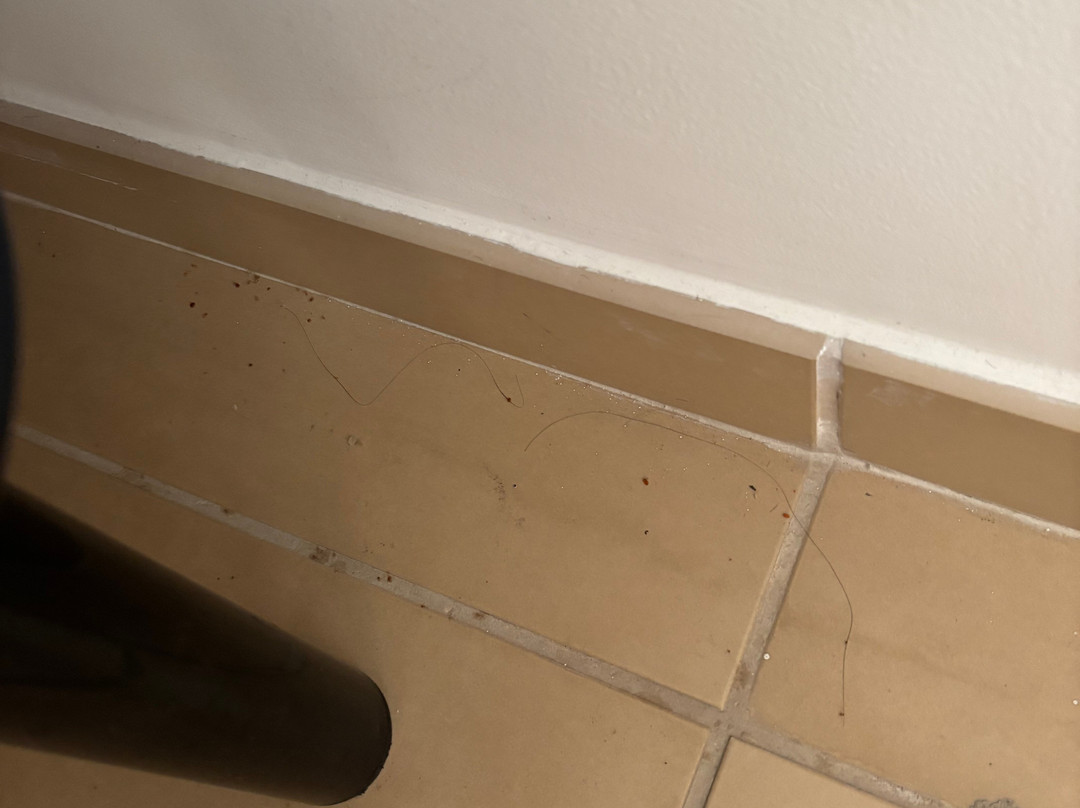 Futura Club Spiagge Bianche主图