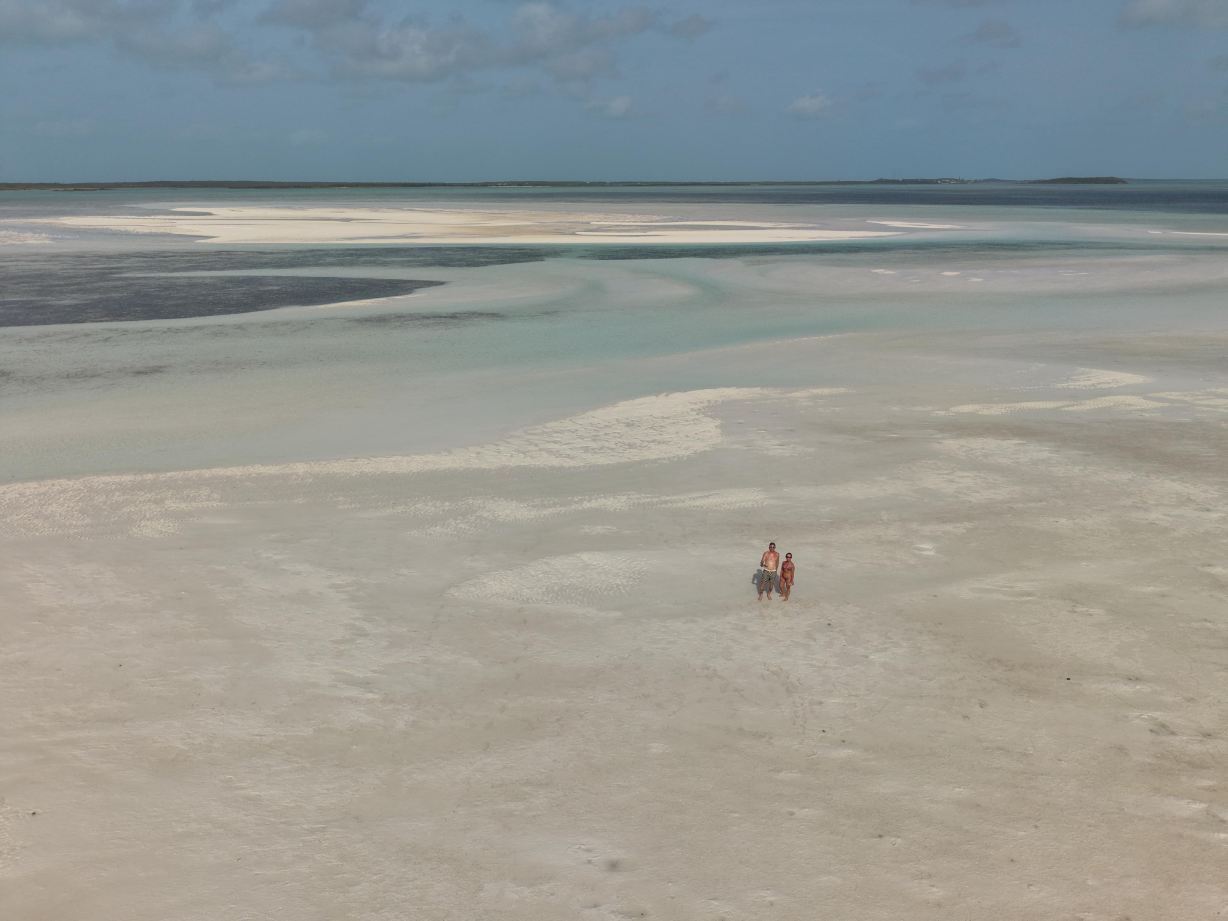 Turtles Nest Bahamas-旅行者