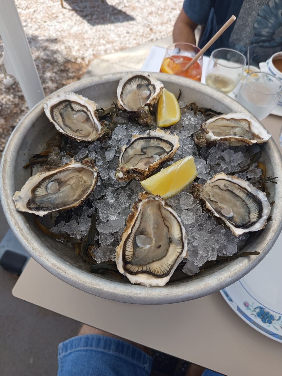 蓝色海岸酒店-旅行者