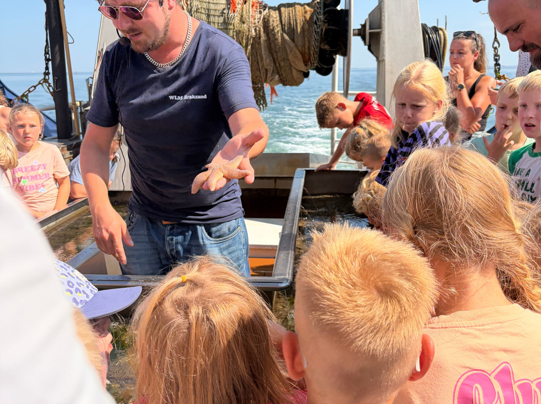 Expeditie Waddenzee-Ballum必去景点