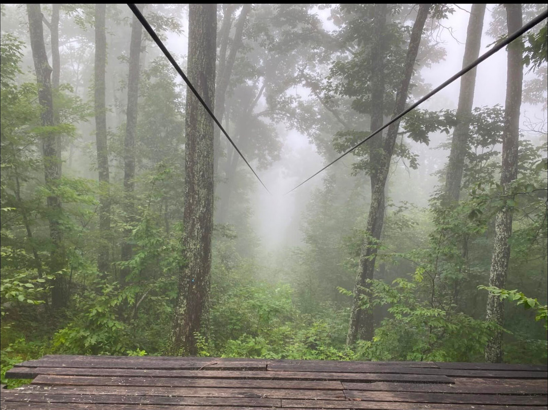 Navitat Canopy Adventures-Barnardsville必去景点