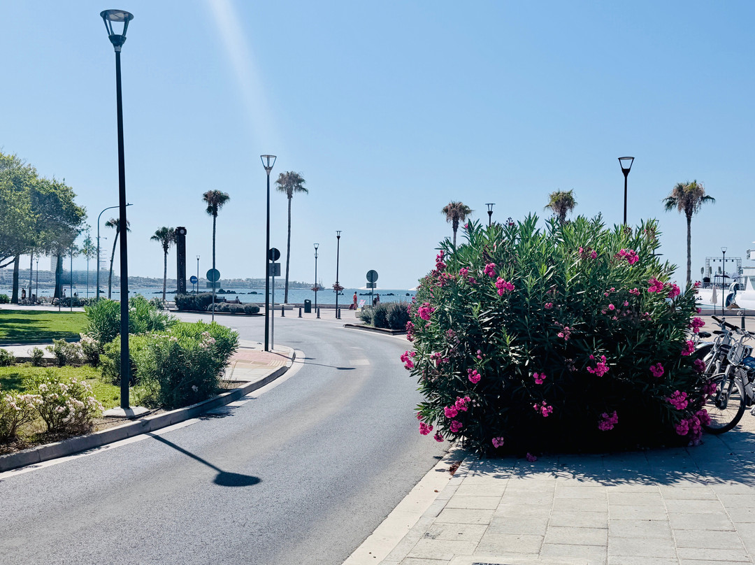 Paphos Harbour and Port-帕福斯必去景点