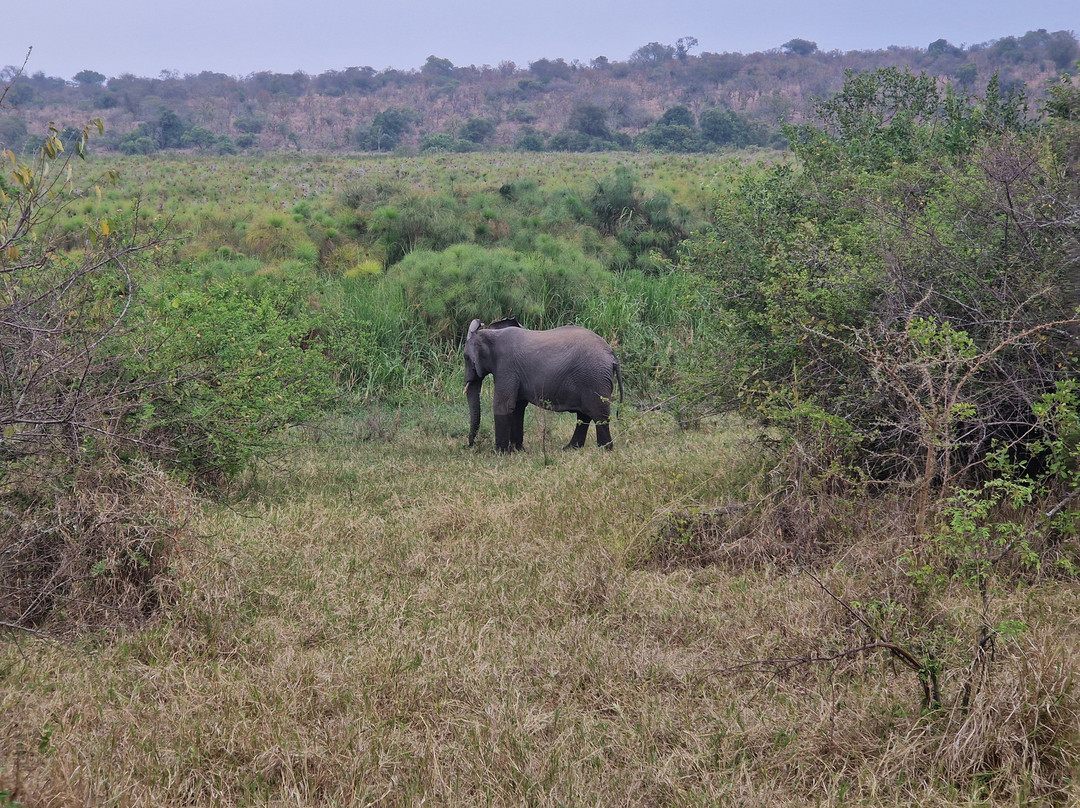 Akagera National Park-Eastern Province必去景点