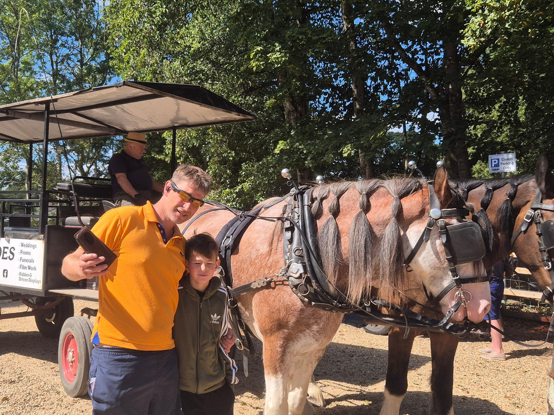 Burley Wagon Rides-Burley必去景点