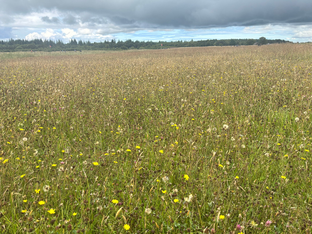 Culloden Battlefield-卡洛登沼泽必去景点