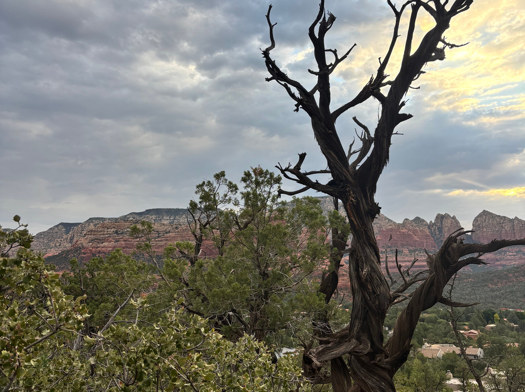 Vortex Yoga Hiking In Sedona-塞多纳必去景点