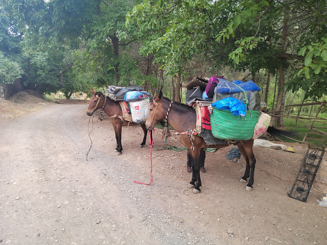Eco Tourisme Trek Maroc-Azilal必去景点