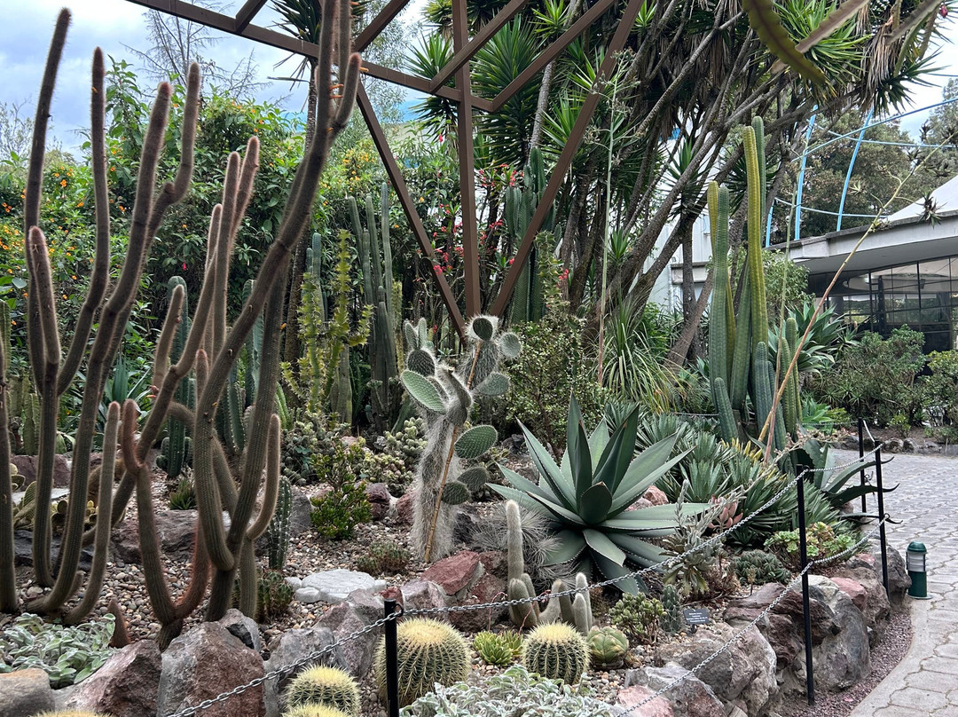 Jardín Botánico de Quito-基多必去景点