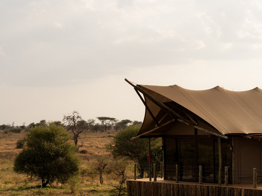 Kuona Serengeti