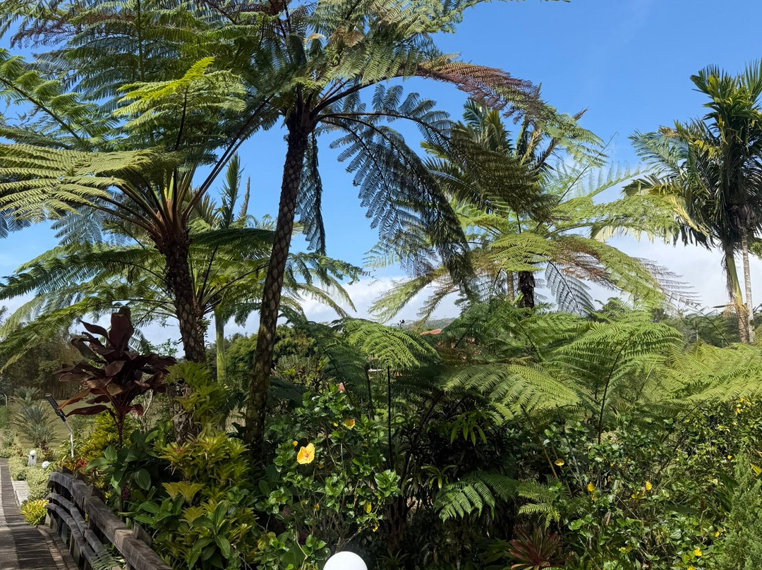 Baha'i House of Worship Samoa-阿皮亚必去景点