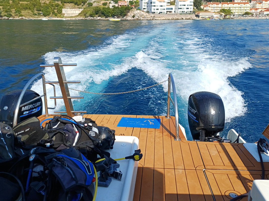 Epidaurum Diving & Water-Sports Center-察夫塔特必去景点