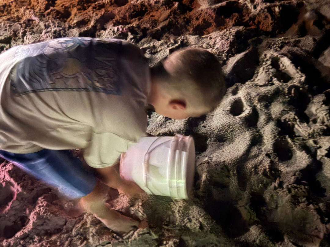 Ghost Crab Quest-Kitty Hawk必去景点