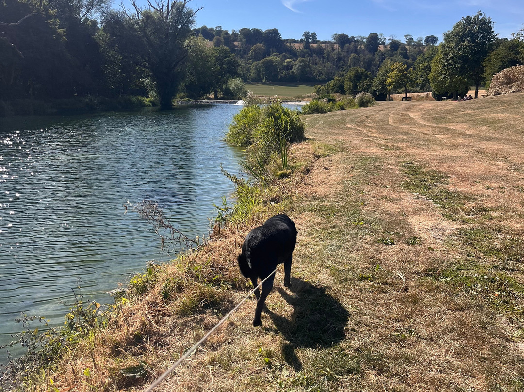 Meon Springs Fly Fishery