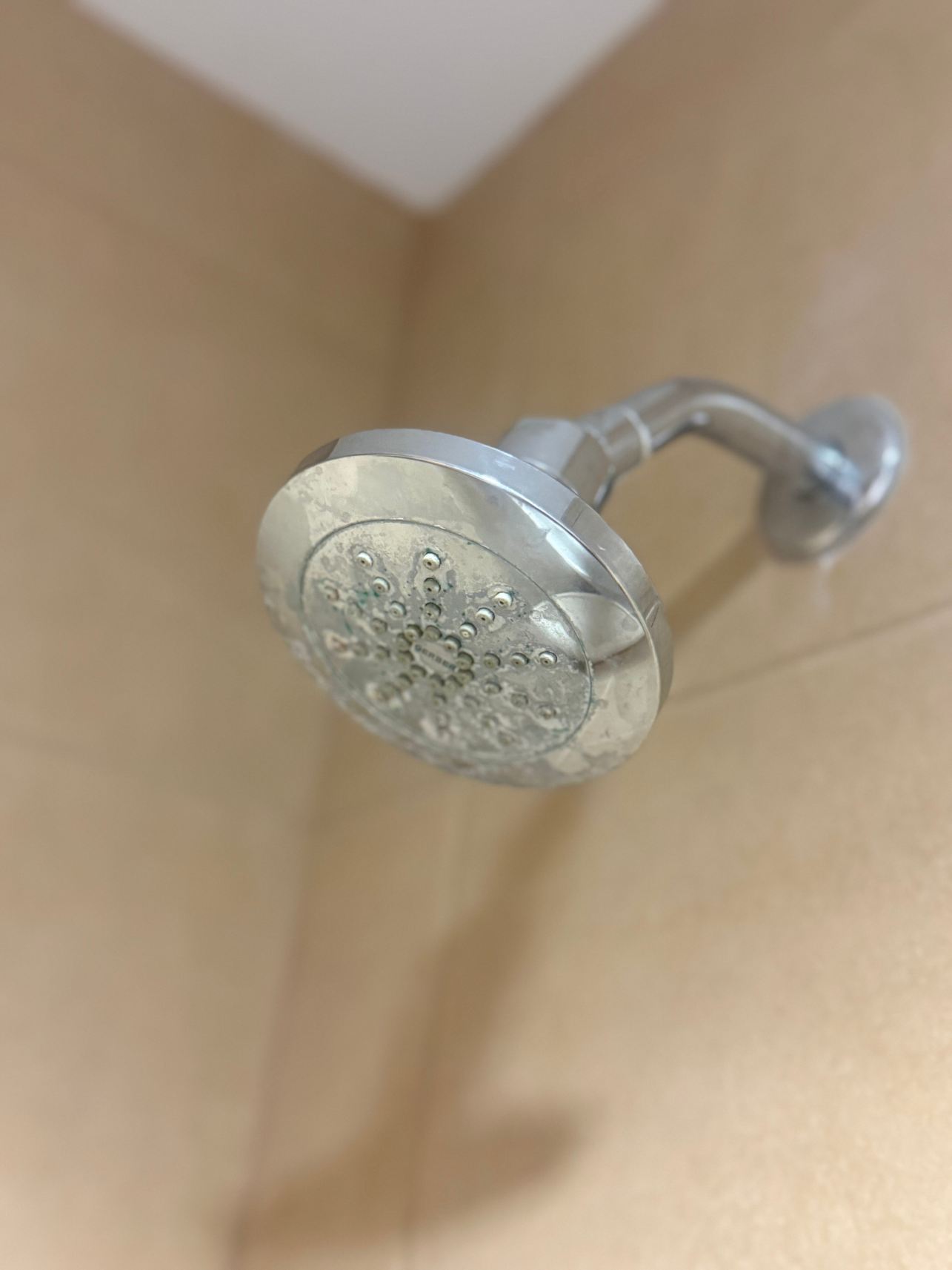 阿纳海姆大狼屋酒店-旅行者
