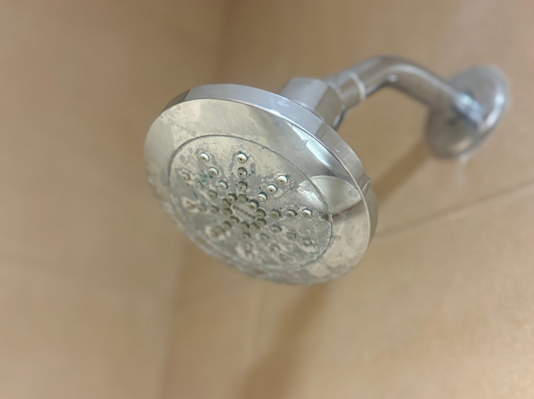 阿纳海姆大狼屋酒店主图