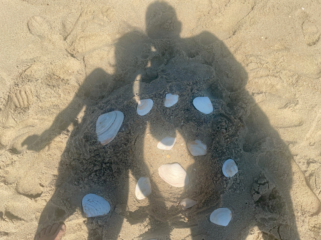 Sandy Hook - Beach G (Gunnison Beach)-Highlands必去景点