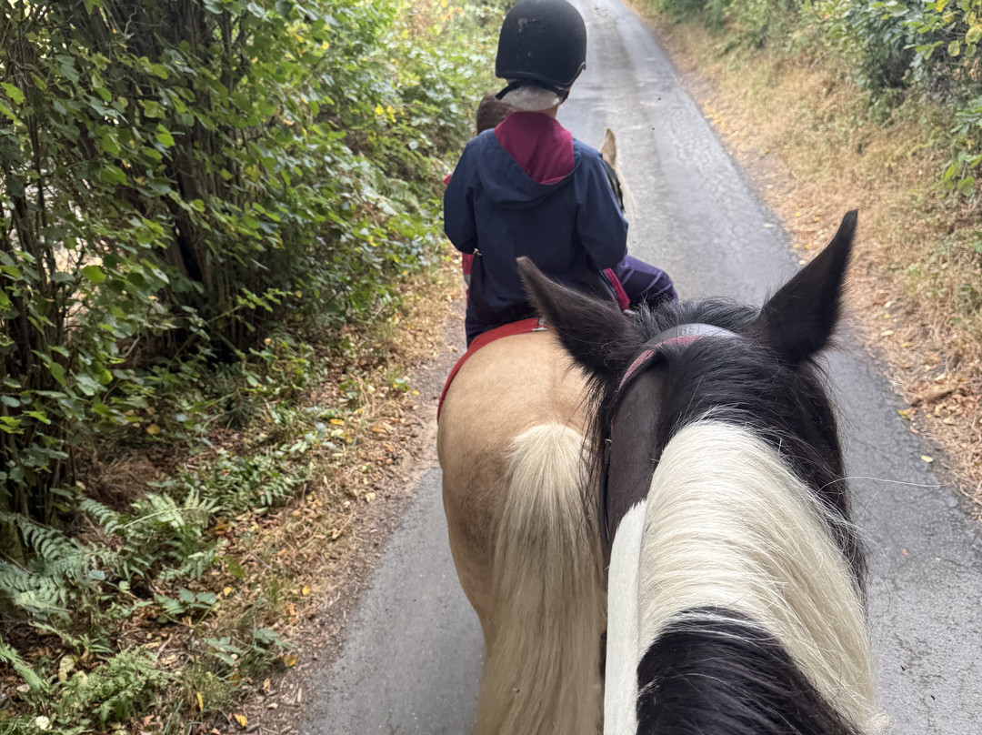 Pony Trekking by Lion Royal Hotel-Rhayader必去景点