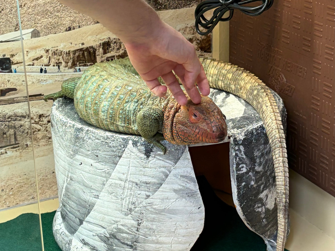 Aquaworld Aquarium & Reptile Rescue Centre-赫索尼索斯必去景点