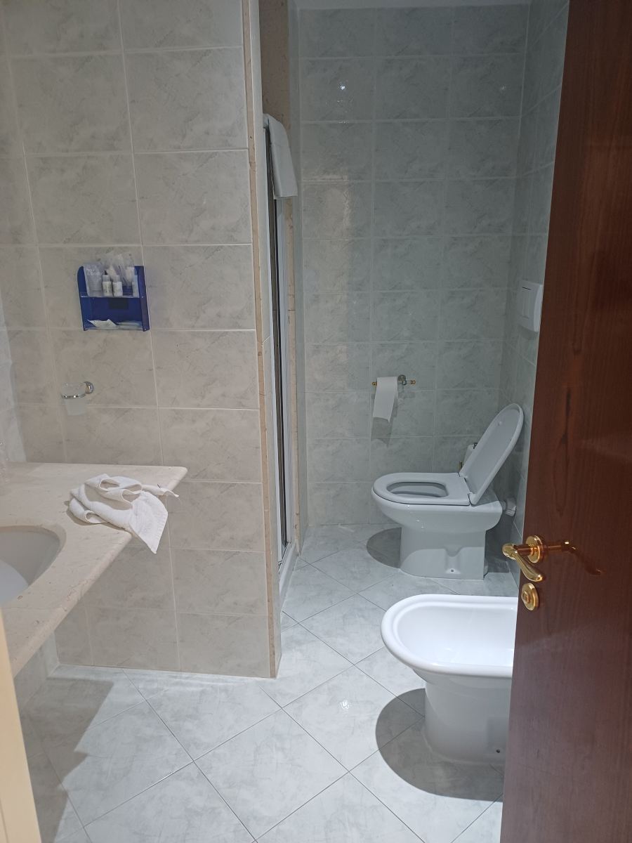 阿尔伯格国际大酒店-浴室