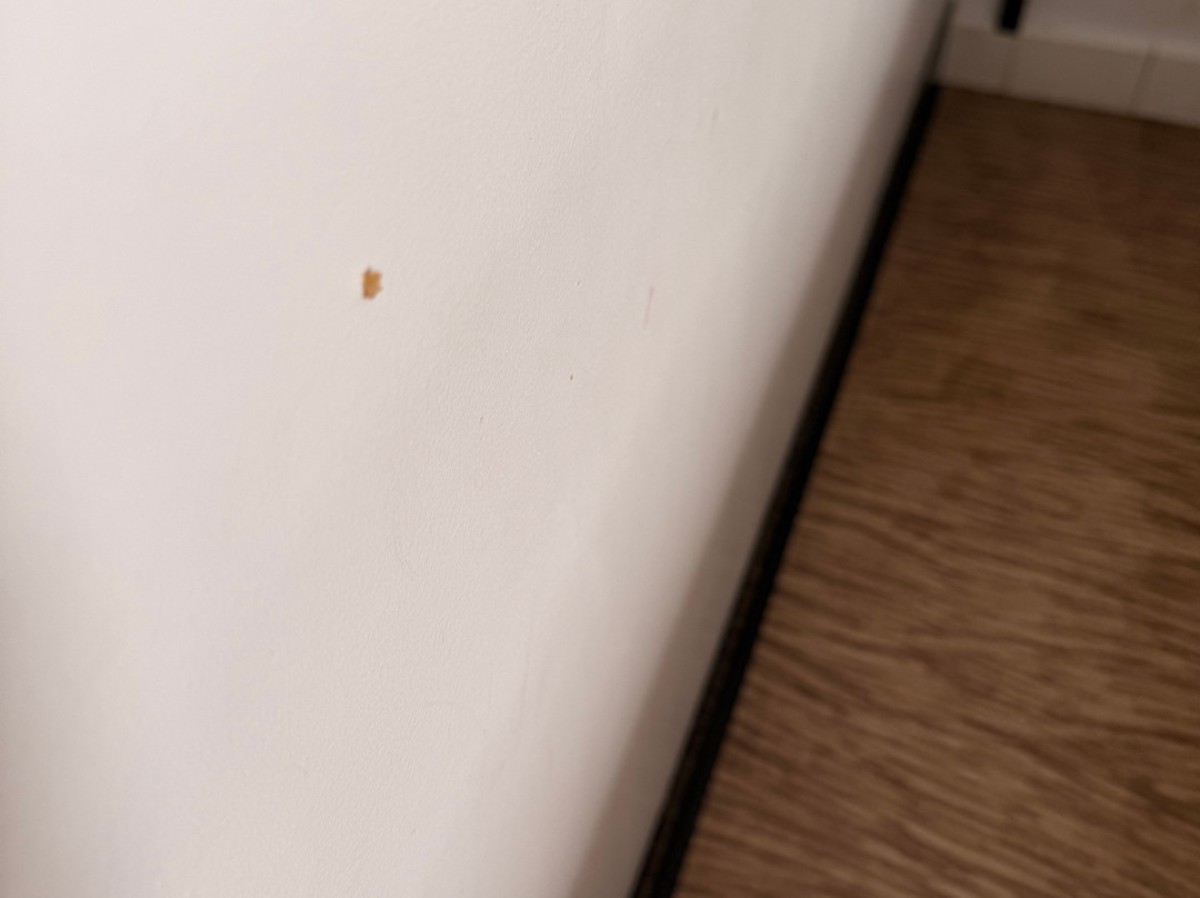 里昂欧洲博览馆沙西约住宿加早餐酒店主图
