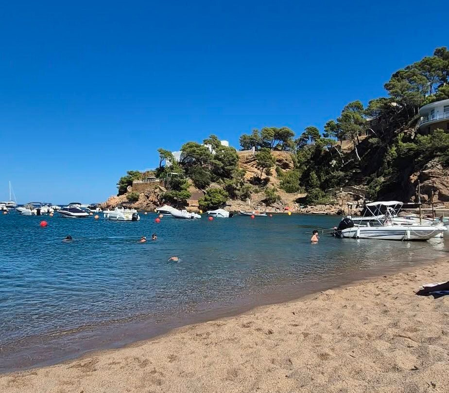 Platja de Sa Riera-Sa Riera必去景点