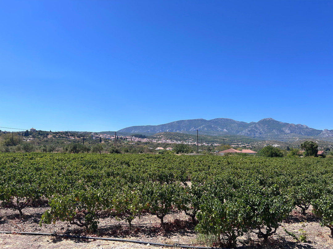 Hatziionnou Winery-Samos Town必去景点