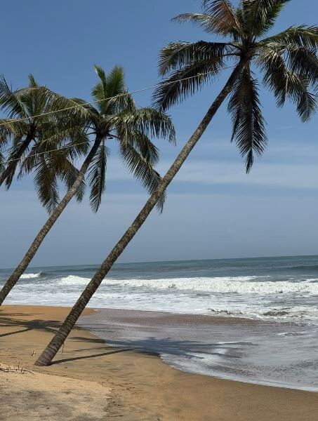 The Nattika Beach Resort主图